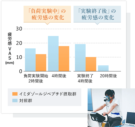 日本予防医薬株式会社 イミダゾールジペプチド摂取比較 「負荷実験中」の疲労感の変化、「実験終了後」の疲労感の変化、グラフ画像