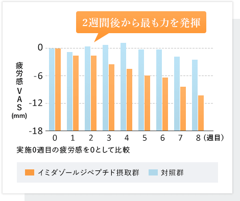 日本予防医薬株式会社 イミダゾールジペプチドの摂取日数 2週間後から最も力を発揮、実施0週目の疲労感を0として比較 グラフ画像