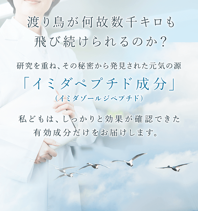 日本予防医薬株式会社 渡り鳥が何故数千キロも飛び続けられるのか？研究を重ね、その秘密から発見された元気の源「イミダペプチド成分（イミダゾールジペプチド）」私どもは、しっかりと効果が確認できた有効成分だけをお届けします。翼の付け根に含まれているイミダペプチド成分（イミダゾールジペプチド）に着目